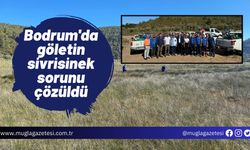 Bodrum'da göletin sivrisinek sorunu çözüldü