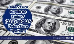 Dolar/Euro bugün ne kadar? (22 Eylül 2024 Dolar/Euro fiyatları)