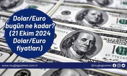 Dolar/Euro bugün ne kadar? (21 Ekim 2024 Dolar/Euro fiyatları)