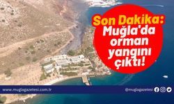 Son Dakika: Muğla'da orman yangını çıktı!