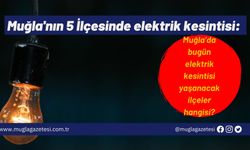 Muğla'nın 5 İlçesinde elektrik kesintisi: Muğla’da bugün elektrik kesintisi yaşanacak ilçeler hangisi?