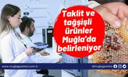 Taklit ve tağşişli ürünler Muğla'da belirleniyor