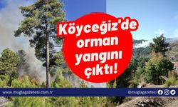 SON DAKİKA: Köyceğiz'de orman yangını çıktı!