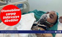 Otomobiline çarpıp öldüresiye dövdüler