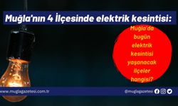 Muğla'nın 4 İlçesinde elektrik kesintisi: Muğla’da bugün elektrik kesintisi yaşanacak ilçeler hangisi?