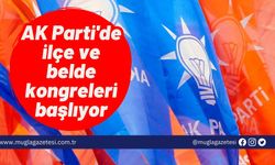 AK Parti'de ilçe ve belde kongreleri başlıyor