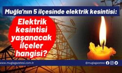 Muğla'nın 5 ilçesinde elektrik kesintisi: Elektrik kesintisi yaşanacak ilçeler hangisi?