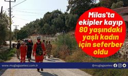 Milas'ta ekipler kayıp 80 yaşındaki yaşlı kadın için seferber oldu