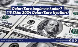 Dolar/Euro bugün ne kadar? (16 Ekim 2024 Dolar/Euro fiyatları)