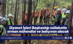 Diyanet İşleri Başkanlığı mülakatla orman mühendisi ve bahçıvan alacak