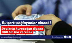 Bu şartı sağlayanlar alacak! Devlet iş kuracağım diyene 900 bin lira verecek