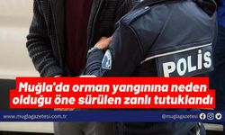 Muğla'da orman yangınına neden olduğu öne sürülen zanlı tutuklandı