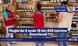 Muğla'da 9 ayda 18 bin 809 işletme denetlendi