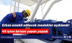 Erken emekli edilecek meslekler açıklandı! 45 işten birisini yapan yaşadı