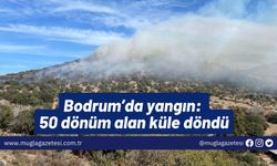 Bodrum’da yangın: 50 dönüm alan küle döndü