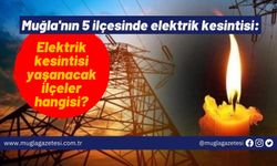 Muğla'nın 5 ilçesinde elektrik kesintisi: Muğla’da bugün elektrik kesintisi yaşanacak ilçeler hangisi?