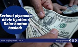 Serbest piyasada döviz fiyatları: Dolar kaçtan başladı