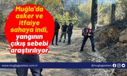 Muğla'da asker ve itfaiye sahaya indi, yangının çıkış sebebi araştırılıyor