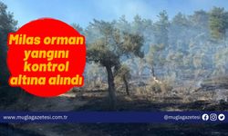 Milas orman yangını kontrol altına alındı