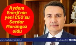 Aydem Enerji’nin yeni CEO’su Serdar Marangoz oldu