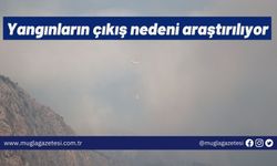 Yangınların çıkış nedeni araştırılıyor