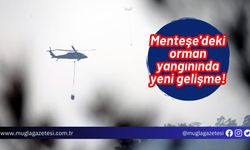 Menteşe'deki orman yangınında yeni gelişme!