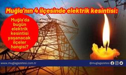 Muğla'nın 4 ilçesinde elektrik kesintisi: Muğla’da bugün elektrik kesintisi yaşanacak ilçeler hangisi?