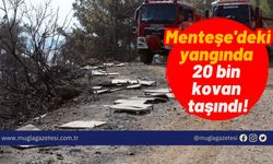 Menteşe'deki yangında 20 bin kovan taşındı!