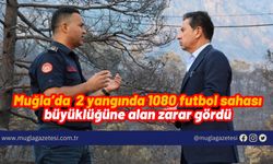 Muğla’da 2 yangında 1080 futbol sahası büyüklüğüne alan zarar gördü