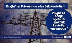 Muğla'nın 6 ilçesinde elektrik kesintisi: Muğla’da hangi ilçelerde elektrik kesintisi yaşanacak?