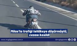 Milas'ta trafiği tehlikeye düşürmüştü, cezası kesildi