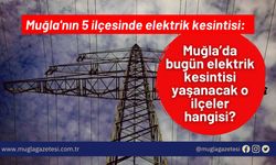 Muğla'nın 5 ilçesinde elektrik kesintisi: Muğla’da bugün elektrik kesintisi yaşanacak o ilçeler hangisi?