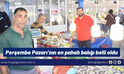 Perşembe Pazarı’nın en pahalı balığı belli oldu