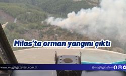 Milas’ta orman yangını çıktı