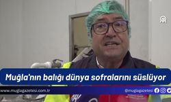 Muğla'nın balığı dünya sofralarını süslüyor