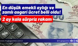 En düşük emekli aylığı ve zamlı asgari ücret belli oldu! 2 ay kala sürpriz rakam