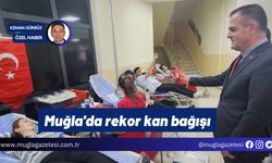 Muğla'da rekor kan bağışı