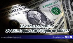 Dövizde son durum! 24 Ekim Dolar/Euro bugün ne kadar?