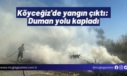 Köyceğiz'de yangın çıktı: Duman yolu kapladı