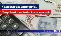 Faizsiz kredi şansı geldi! Hangi banka ne kadar kredi verecek