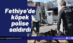 Fethiye'de köpek polise saldırdı