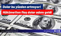 Dolar bu yüzden artmıyor! Hükümetten flaş dolar adımı geldi