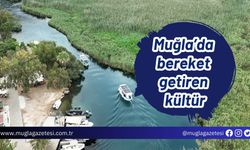 Muğla’da bereket getiren kültür