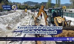 Kavaklıdere'de doğalgazsız mahalle kalmayacak