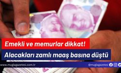 Emekli ve memurlar dikkat! Alacakları zamlı maaş basına düştü