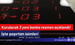 Kurulacak 3 yeni banka resmen açıklandı! İşte şaşırtan isimleri