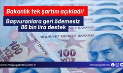 Bakanlık tek şartını açıkladı! Başvuranlara geri ödemesiz 86 bin lira destek