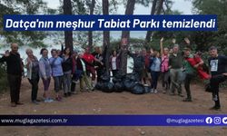 Datça'nın meşhur Tabiat Parkı temizlendi