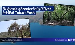 Muğla'da görenleri büyülüyor: İnbükü Tabiat Parkı