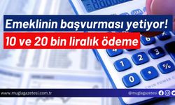 Emeklinin başvurması yetiyor! 10 ve 20 bin liralık ödeme